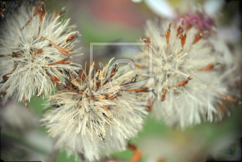 frei wählbarer Bildausschnitt für Ihr Bild auf Mousepad