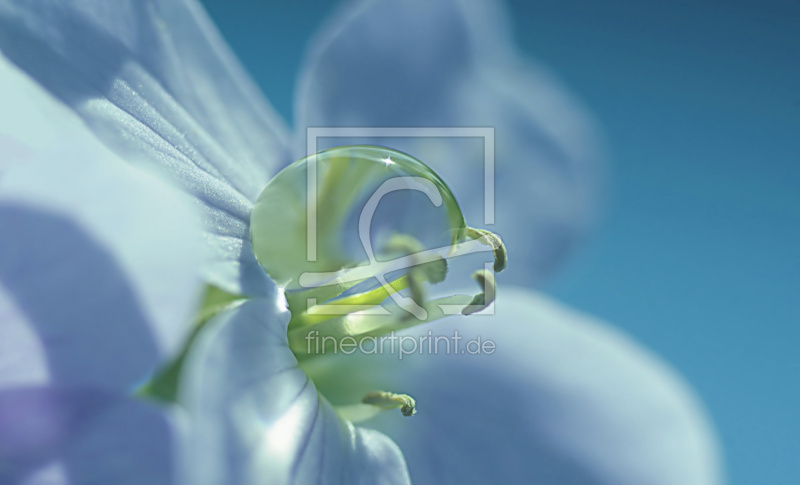 frei w&auml;hlbarer Bildausschnitt f&uuml;r Ihr Bild auf Mousepad