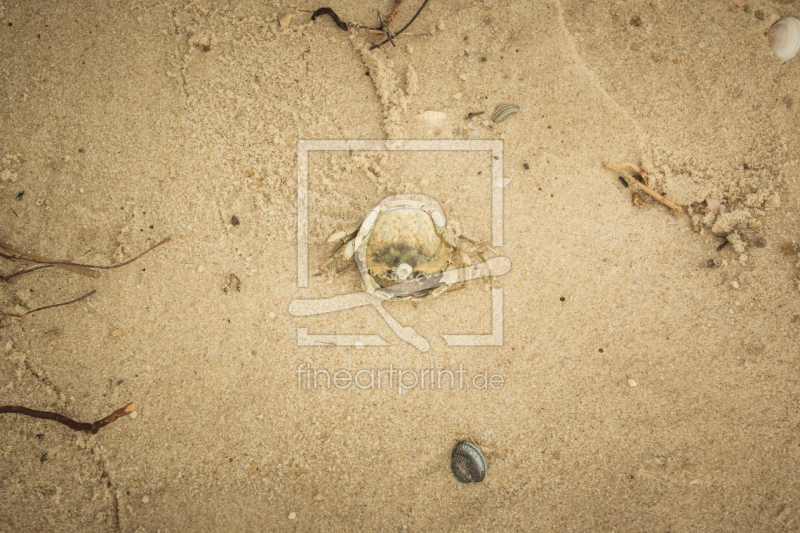 frei w&auml;hlbarer Bildausschnitt f&uuml;r Ihr Bild auf Mousepad