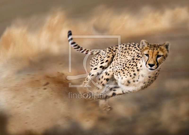 frei w&auml;hlbarer Bildausschnitt f&uuml;r Ihr Bild auf Mousepad