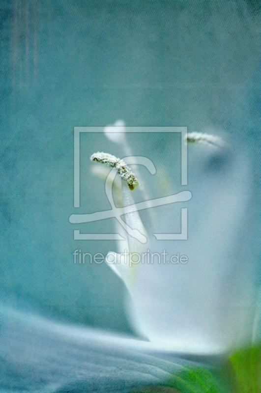 frei wählbarer Bildausschnitt für Ihr Bild auf Mousepad