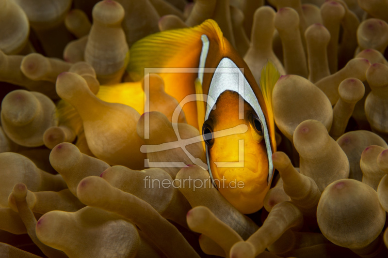 frei w&auml;hlbarer Bildausschnitt f&uuml;r Ihr Bild auf Mousepad