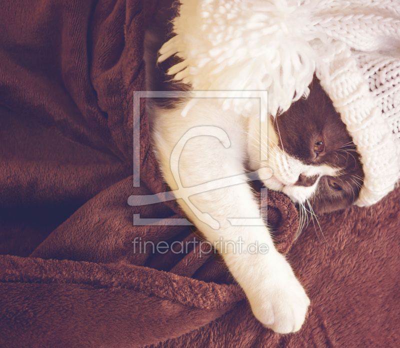 frei wählbarer Bildausschnitt für Ihr Bild auf Mousepad