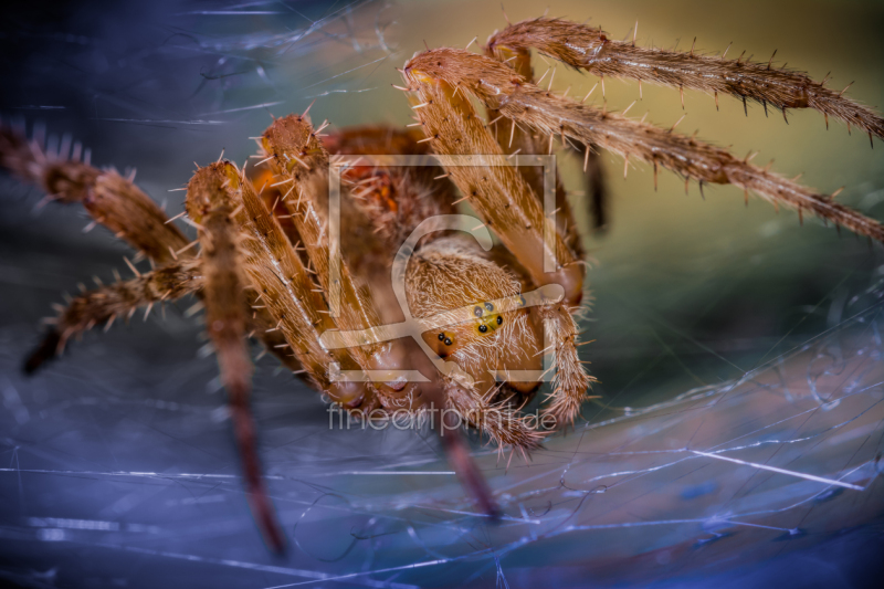 frei w&auml;hlbarer Bildausschnitt f&uuml;r Ihr Bild auf Mousepad