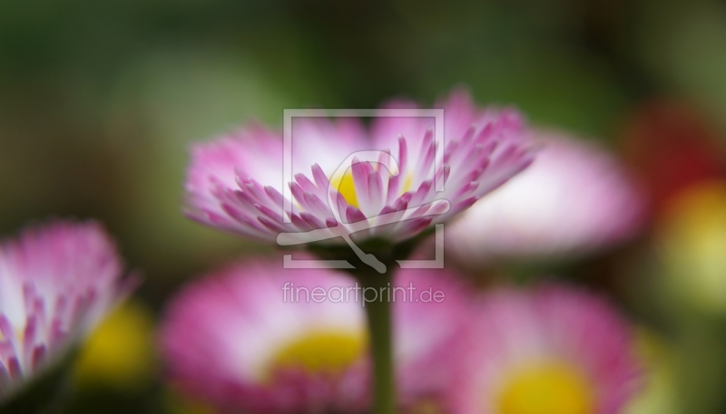 frei wählbarer Bildausschnitt für Ihr Bild auf Mousepad