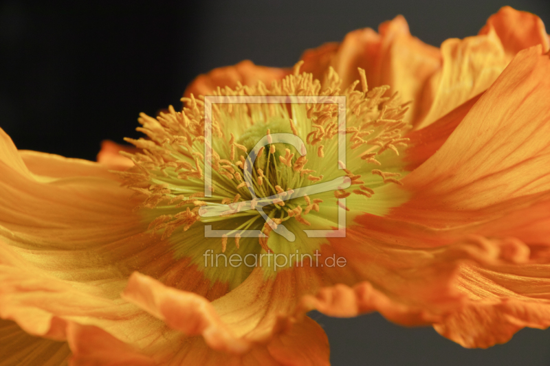 frei w&auml;hlbarer Bildausschnitt f&uuml;r Ihr Bild auf Mousepad