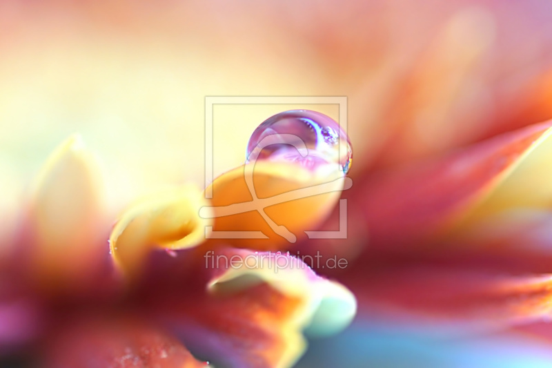 frei wählbarer Bildausschnitt für Ihr Bild auf Mousepad