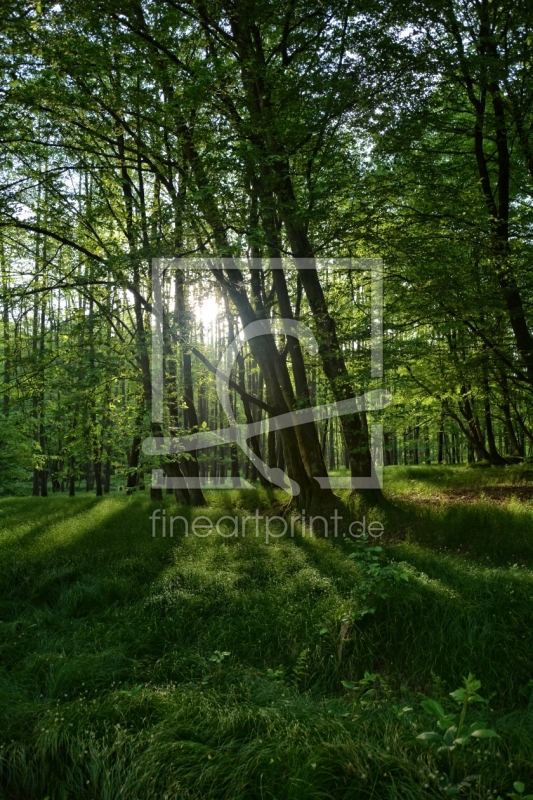 frei w&auml;hlbarer Bildausschnitt f&uuml;r Ihr Bild auf Mousepad