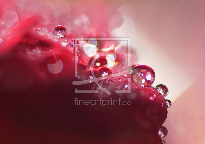 frei w&auml;hlbarer Bildausschnitt f&uuml;r Ihr Bild auf Mousepad