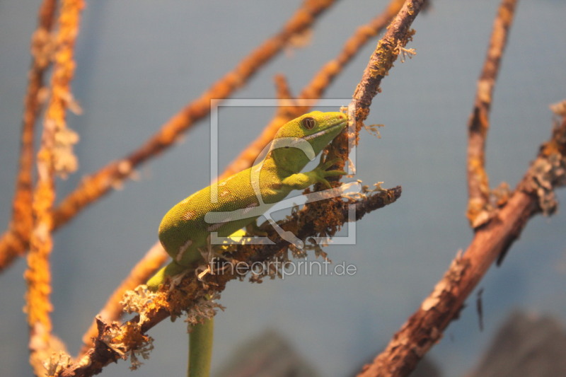 frei wählbarer Bildausschnitt für Ihr Bild auf Mousepad