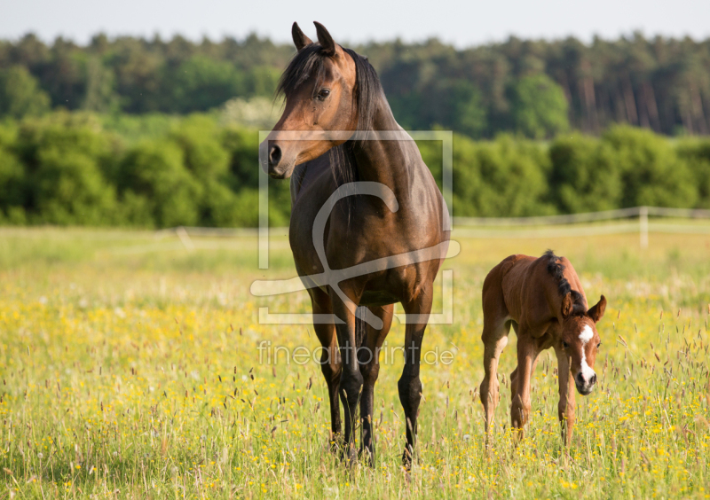frei w&auml;hlbarer Bildausschnitt f&uuml;r Ihr Bild auf Mousepad
