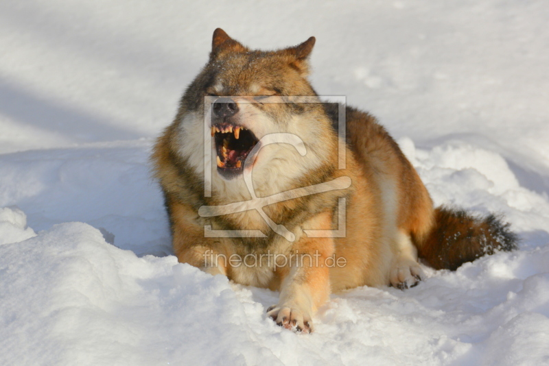 frei wählbarer Bildausschnitt für Ihr Bild auf Mousepad