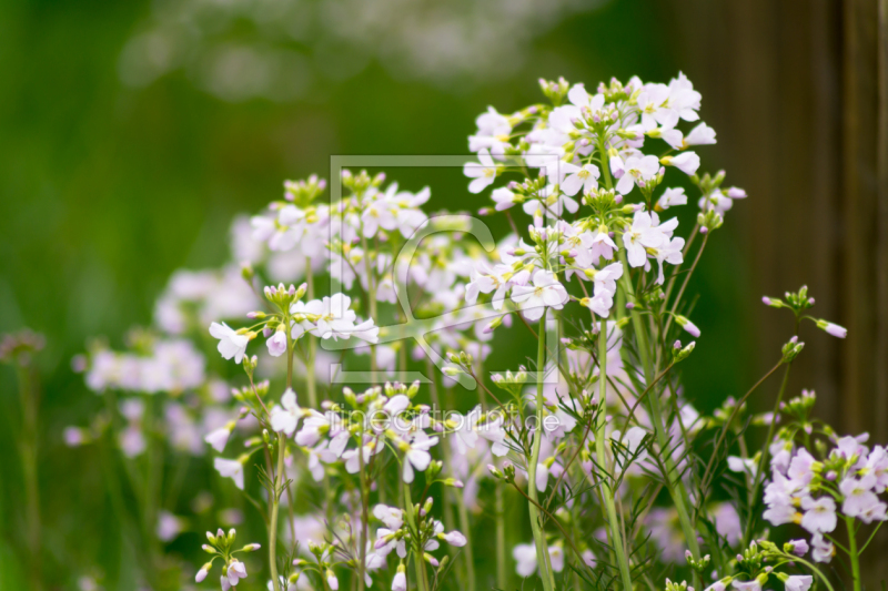 frei wählbarer Bildausschnitt für Ihr Bild auf Mousepad