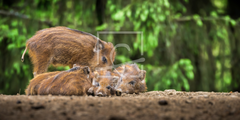 frei wählbarer Bildausschnitt für Ihr Bild auf Mousepad