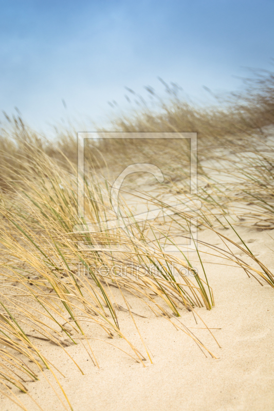 frei wählbarer Bildausschnitt für Ihr Bild auf Mousepad