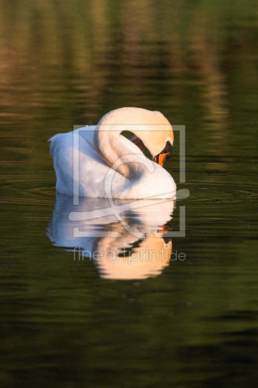 frei w&auml;hlbarer Bildausschnitt f&uuml;r Ihr Bild auf Mousepad