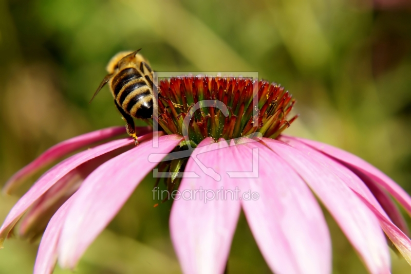 frei w&auml;hlbarer Bildausschnitt f&uuml;r Ihr Bild auf Mousepad