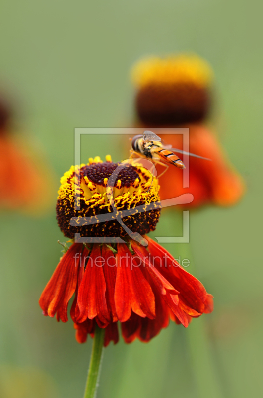 frei wählbarer Bildausschnitt für Ihr Bild auf Mousepad