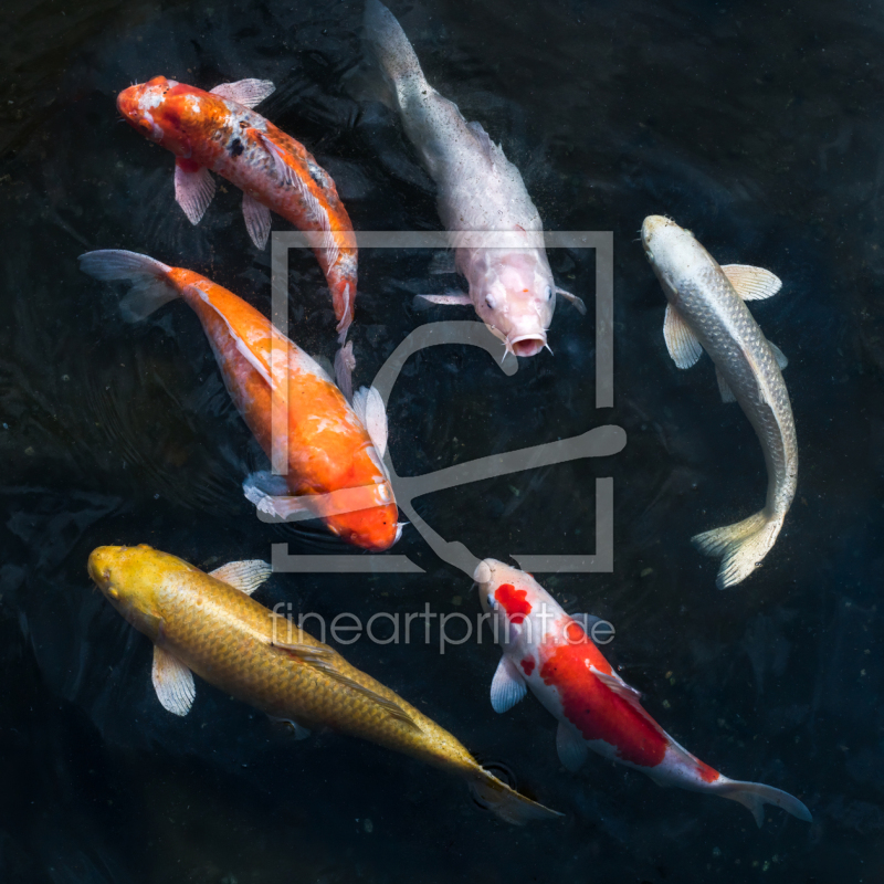 frei w&auml;hlbarer Bildausschnitt f&uuml;r Ihr Bild auf Mousepad