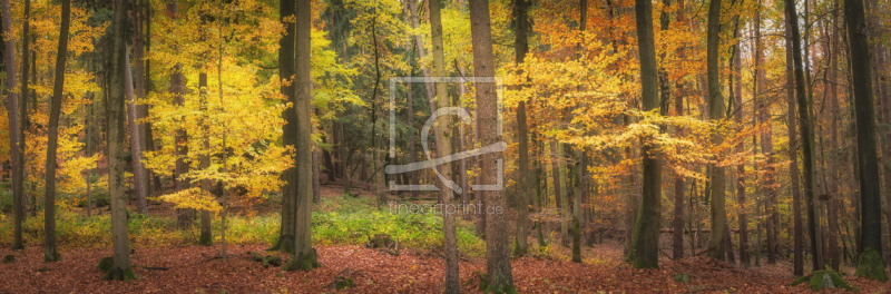 frei wählbarer Bildausschnitt für Ihr Bild auf Mousepad