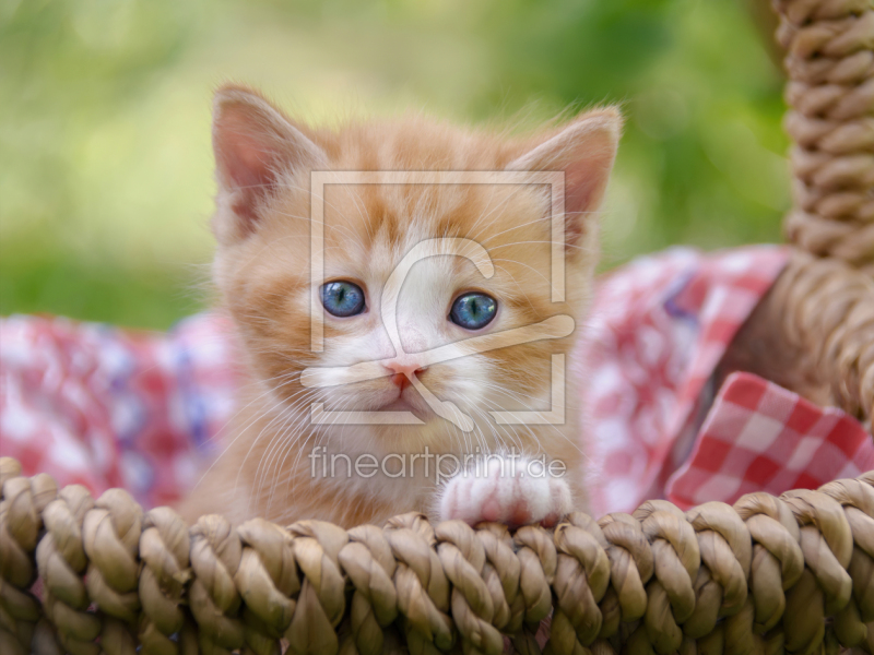 frei w&auml;hlbarer Bildausschnitt f&uuml;r Ihr Bild auf Mousepad