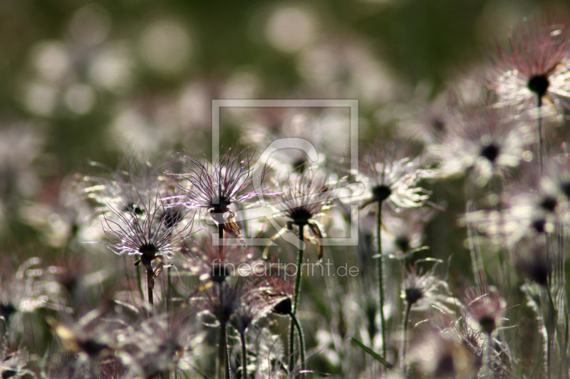 frei w&auml;hlbarer Bildausschnitt f&uuml;r Ihr Bild auf Mousepad