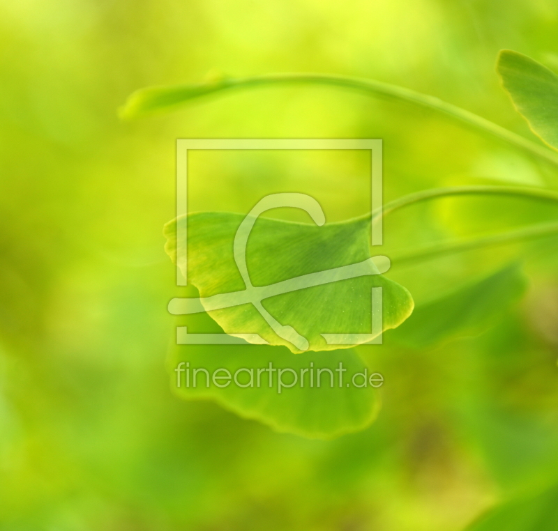 frei wählbarer Bildausschnitt für Ihr Bild auf Mousepad