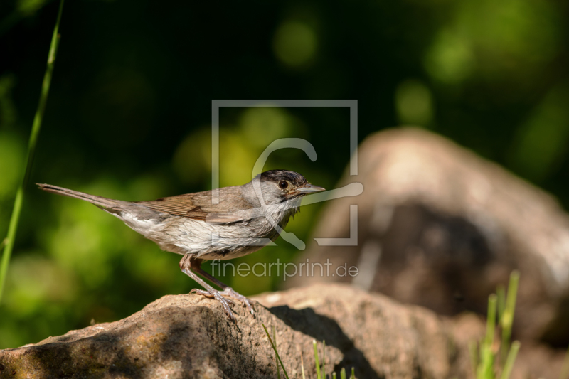 frei w&auml;hlbarer Bildausschnitt f&uuml;r Ihr Bild auf Mousepad