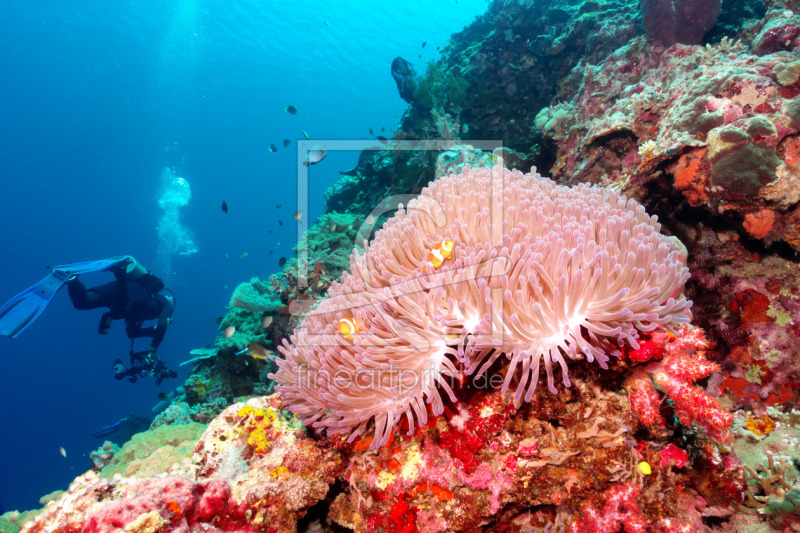 frei wählbarer Bildausschnitt für Ihr Bild auf Mousepad