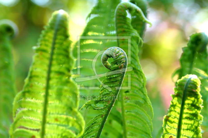 frei w&auml;hlbarer Bildausschnitt f&uuml;r Ihr Bild auf Mousepad