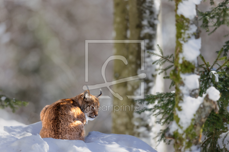 frei w&auml;hlbarer Bildausschnitt f&uuml;r Ihr Bild auf Mousepad