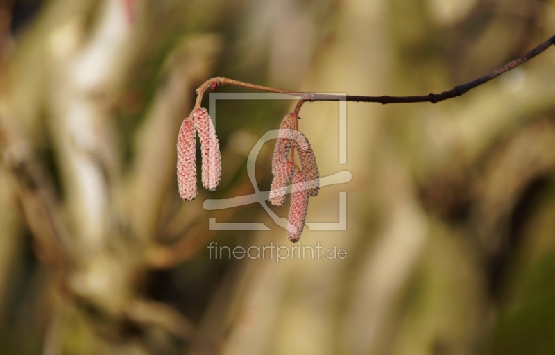 frei w&auml;hlbarer Bildausschnitt f&uuml;r Ihr Bild auf Mousepad