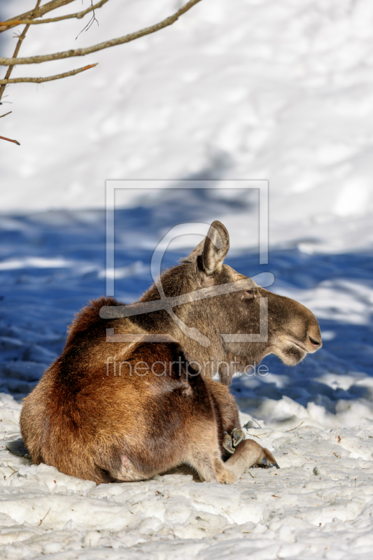 frei w&auml;hlbarer Bildausschnitt f&uuml;r Ihr Bild auf Mousepad