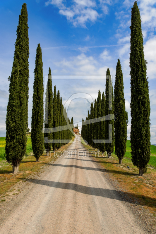 frei w&auml;hlbarer Bildausschnitt f&uuml;r Ihr Bild auf Mousepad