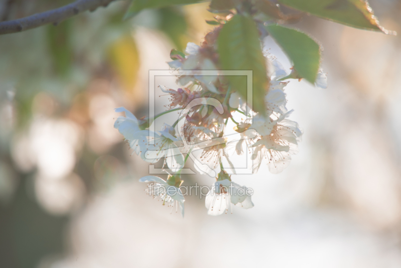 frei wählbarer Bildausschnitt für Ihr Bild auf Mousepad