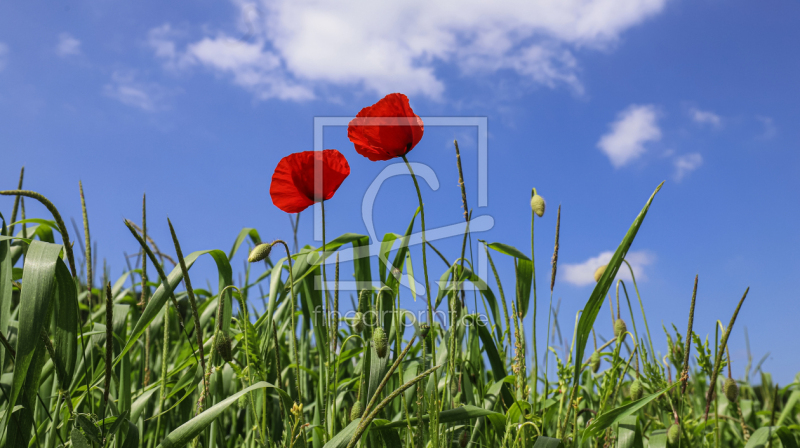 frei w&auml;hlbarer Bildausschnitt f&uuml;r Ihr Bild auf Mousepad