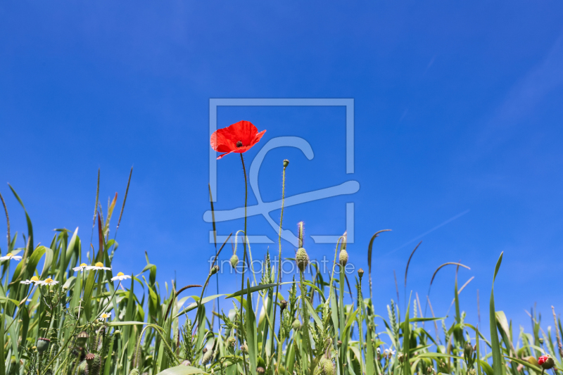 frei w&auml;hlbarer Bildausschnitt f&uuml;r Ihr Bild auf Mousepad