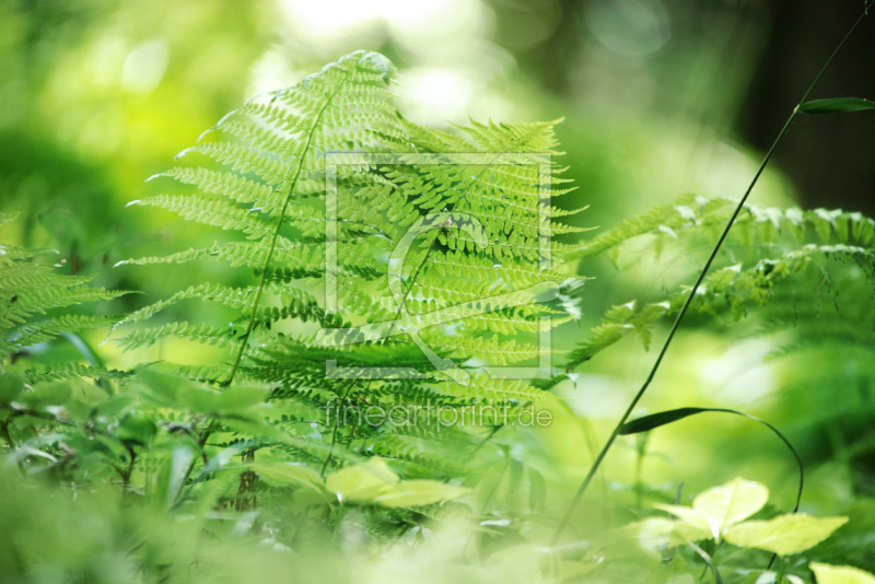 frei w&auml;hlbarer Bildausschnitt f&uuml;r Ihr Bild auf Mousepad