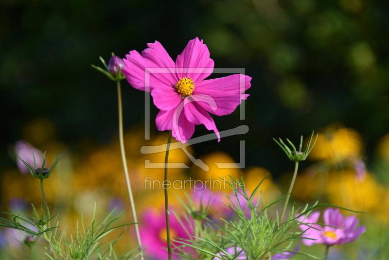 frei w&auml;hlbarer Bildausschnitt f&uuml;r Ihr Bild auf Mousepad