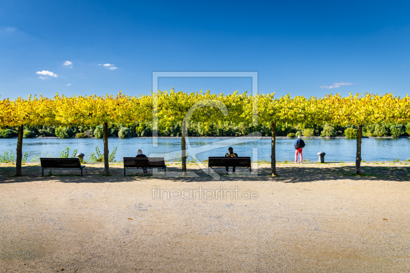 frei w&auml;hlbarer Bildausschnitt f&uuml;r Ihr Bild auf Mousepad