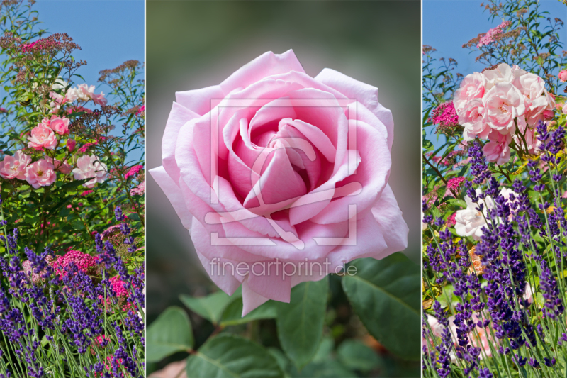 frei wählbarer Bildausschnitt für Ihr Bild auf Mousepad