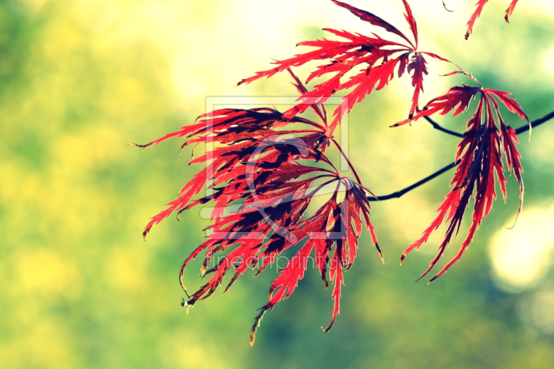 frei w&auml;hlbarer Bildausschnitt f&uuml;r Ihr Bild auf Mousepad