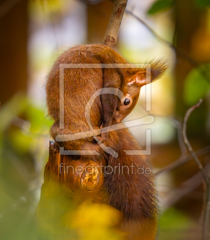 frei w&auml;hlbarer Bildausschnitt f&uuml;r Ihr Bild auf Mousepad