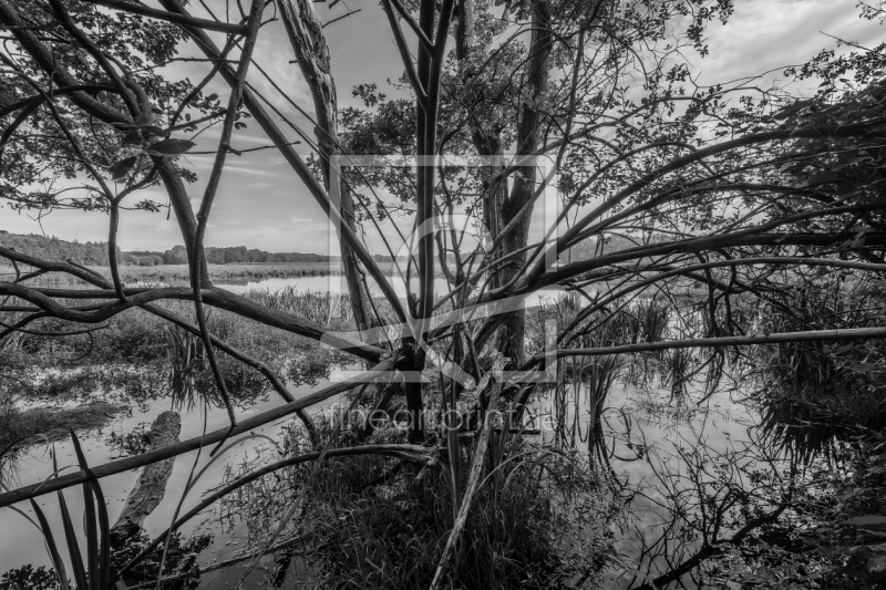 frei w&auml;hlbarer Bildausschnitt f&uuml;r Ihr Bild auf Mousepad