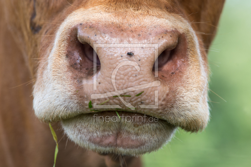 frei w&auml;hlbarer Bildausschnitt f&uuml;r Ihr Bild auf Mousepad