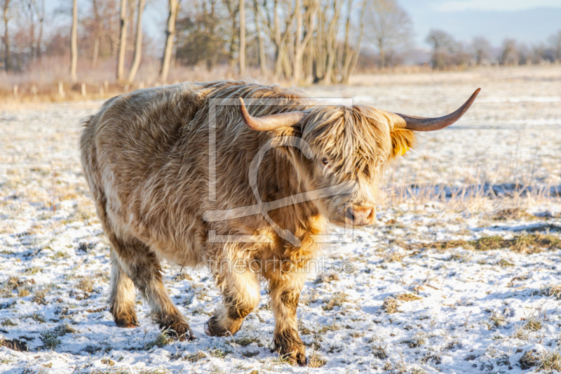 frei wählbarer Bildausschnitt für Ihr Bild auf Mousepad