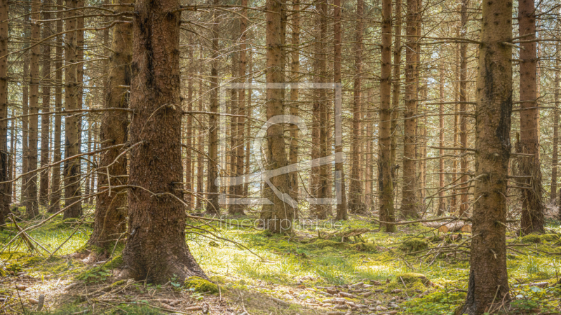 frei w&auml;hlbarer Bildausschnitt f&uuml;r Ihr Bild auf Mousepad