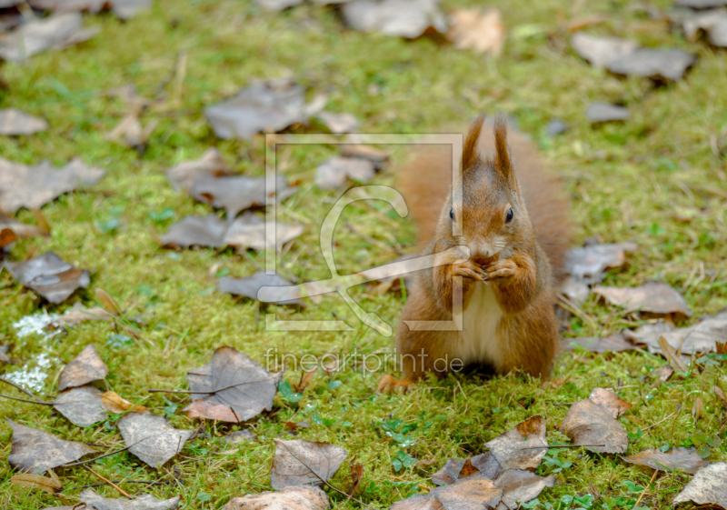 frei w&auml;hlbarer Bildausschnitt f&uuml;r Ihr Bild auf Mousepad