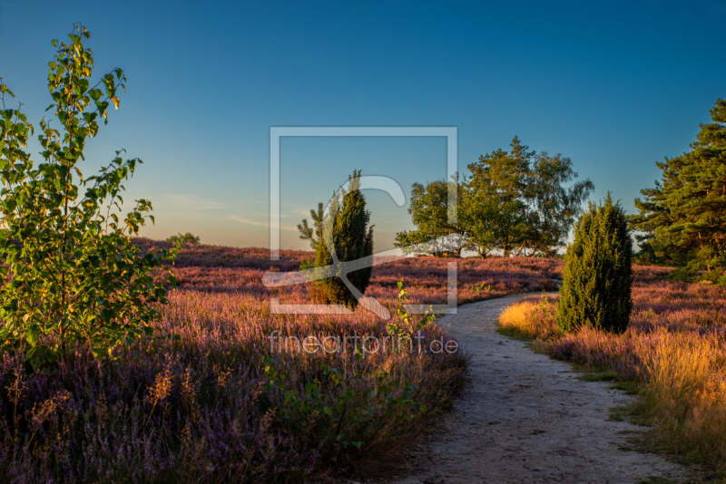 frei w&auml;hlbarer Bildausschnitt f&uuml;r Ihr Bild auf Mousepad