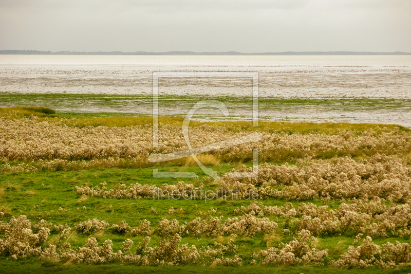 frei w&auml;hlbarer Bildausschnitt f&uuml;r Ihr Bild auf Mousepad